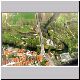 Flug-06-Telgte.jpg